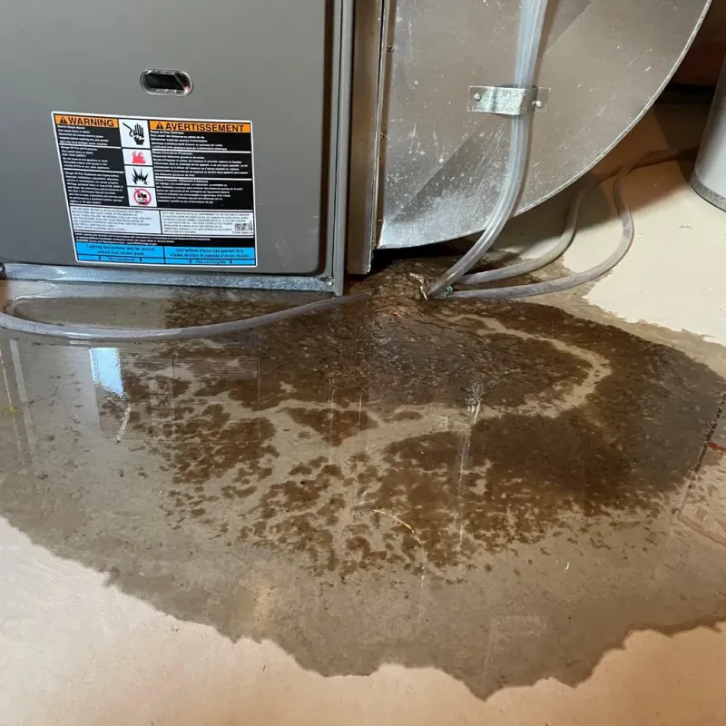 Appliance Leak Cleanup in South Browning, MT