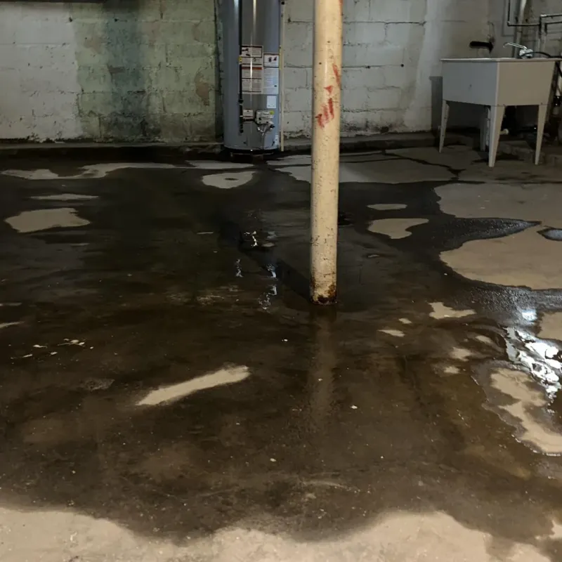 Emergency Water Extraction And Removal in South Browning, MT